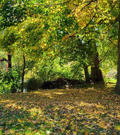 Wattles Ferry Park - Unadilla, NY