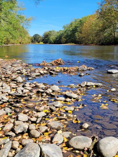 Wattles Ferry Park - Unadilla, NY