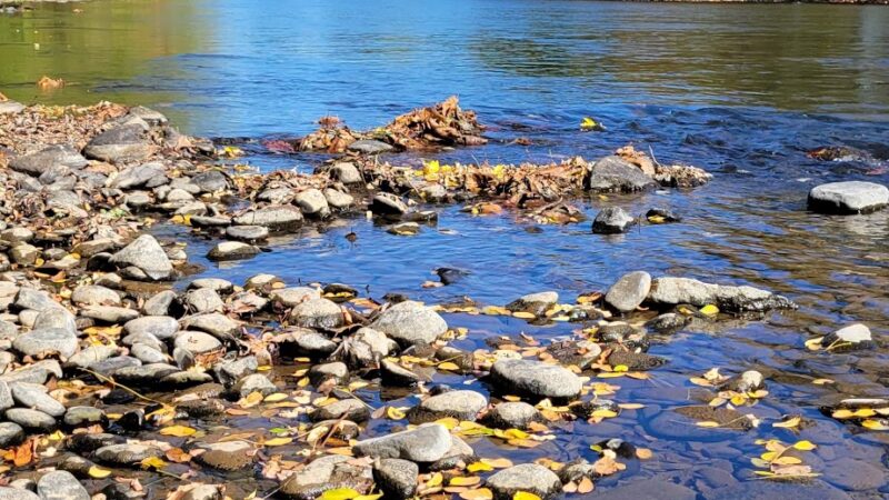 Wattles Ferry Park - Unadilla, NY
