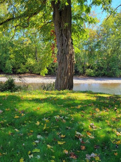 Wattles Ferry Park - Unadilla, NY