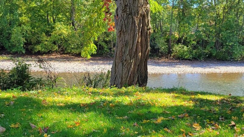 Wattles Ferry Park - Unadilla, NY