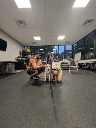 Supreme K9 Dog Training & Advocacy - Union City, NJ