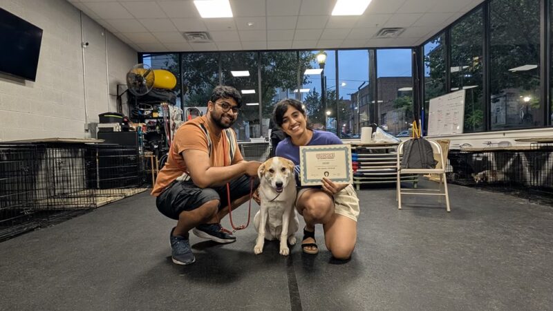 Supreme K9 Dog Training & Advocacy - Union City, NJ