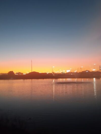 Reelfoot Pond Park - Union City, TN