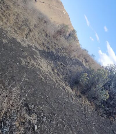 Ahtanum Ridge Trailhead - Union Gap, WA