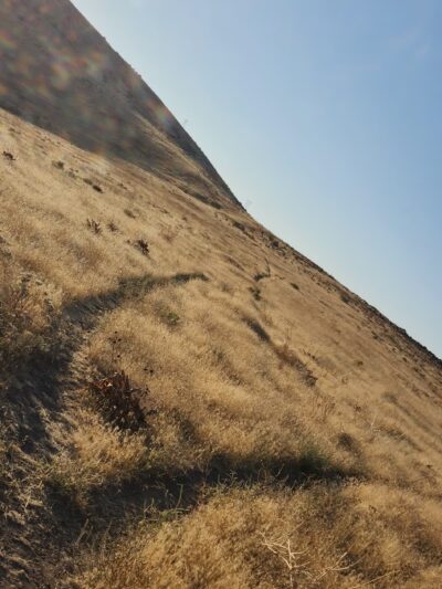 Ahtanum Ridge Trailhead - Union Gap, WA