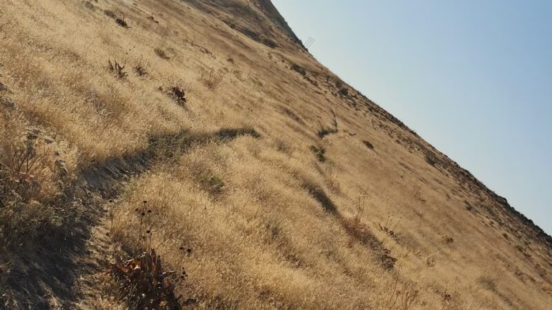 Ahtanum Ridge Trailhead - Union Gap, WA