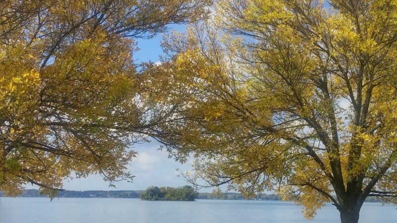Frontenac Park - Union Springs, NY