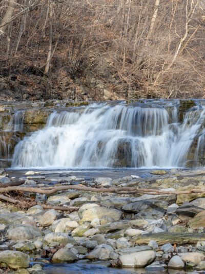 Great Gully - Union Springs, NY