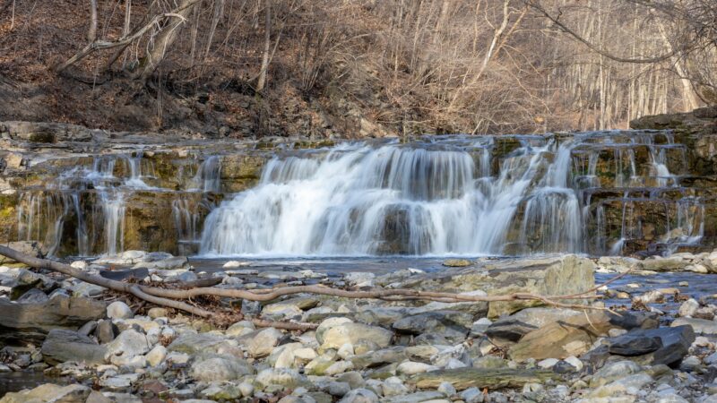 Great Gully - Union Springs, NY