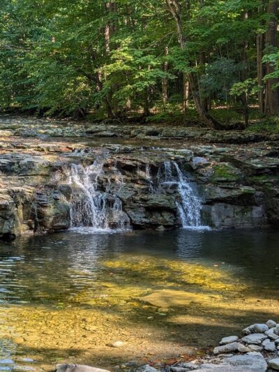 Great Gully - Union Springs, NY