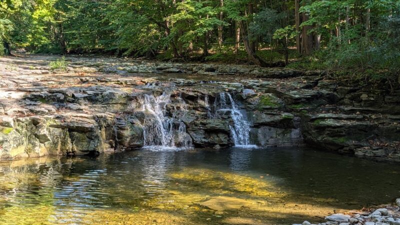 Great Gully - Union Springs, NY