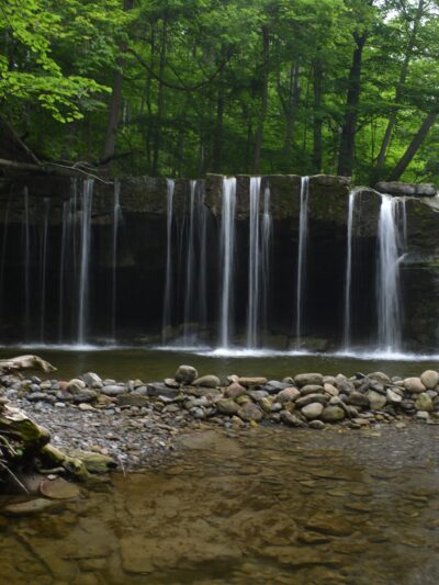 Great Gully - Union Springs, NY
