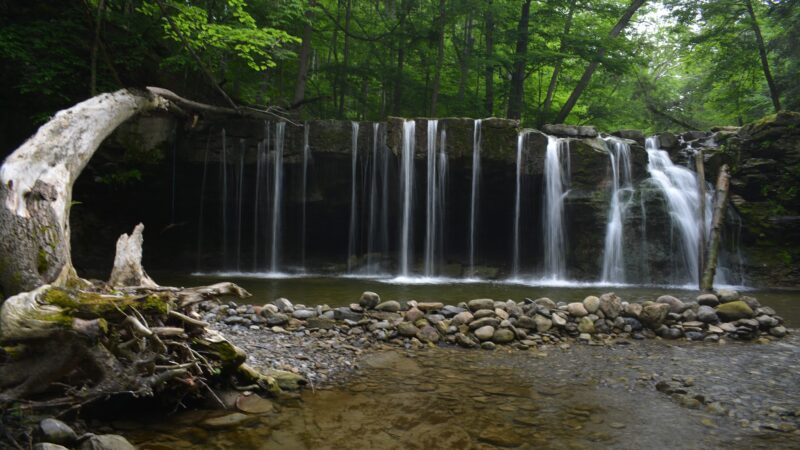 Great Gully - Union Springs, NY