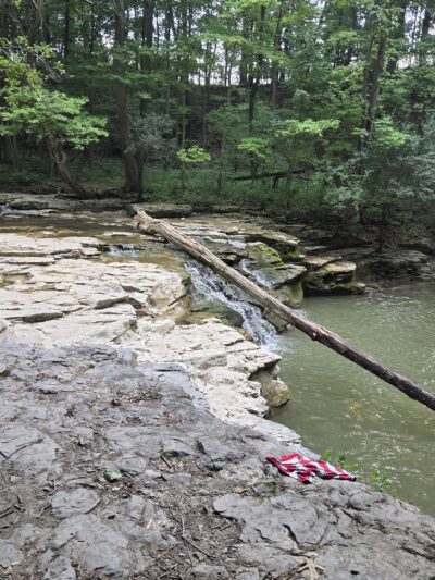 Great Gully - Union Springs, NY