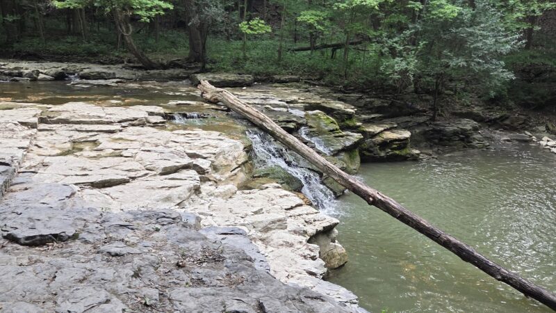 Great Gully - Union Springs, NY