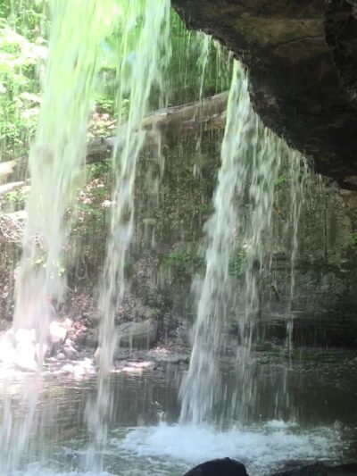 Great Gully - Union Springs, NY