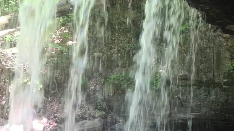Great Gully - Union Springs, NY