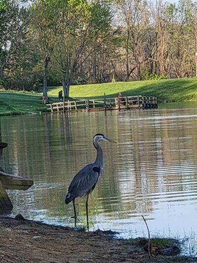 Dunlap Creek Park - Uniontown, PA