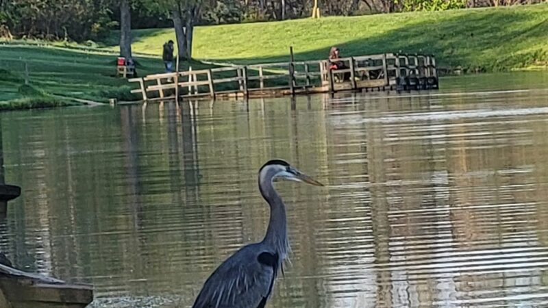 Dunlap Creek Park - Uniontown, PA
