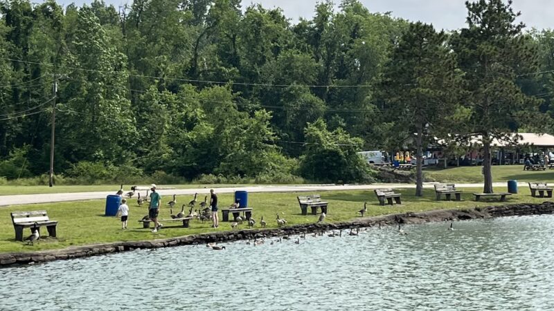 Hutchinson Park - Uniontown, PA