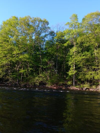 Farmington River Trail - Unionville, CT