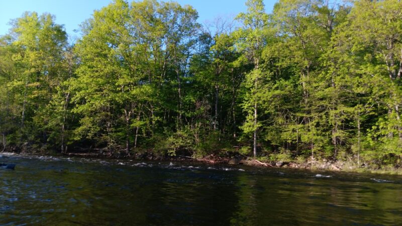 Farmington River Trail - Unionville, CT