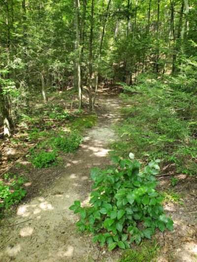 Lions Memorial Park - Unionville, CT