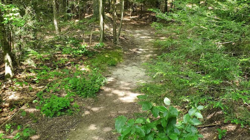 Lions Memorial Park - Unionville, CT