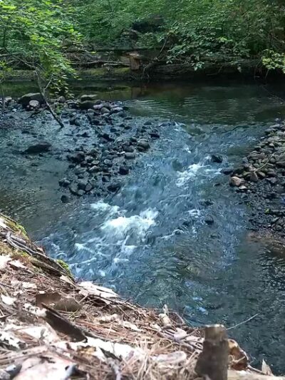 Suburban Park - Unionville, CT