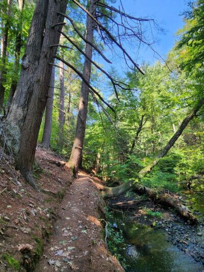 Suburban Park - Unionville, CT