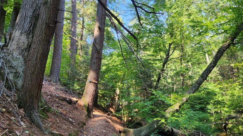 Suburban Park - Unionville, CT