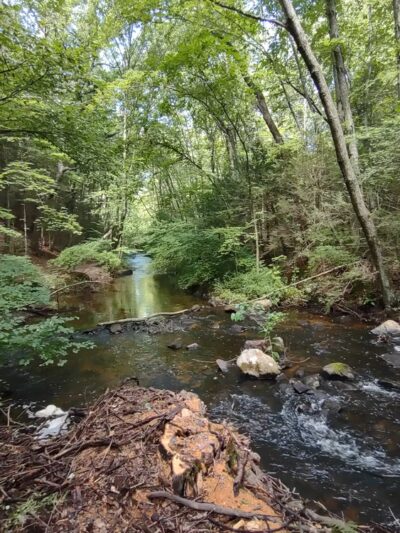 Suburban Park - Unionville, CT