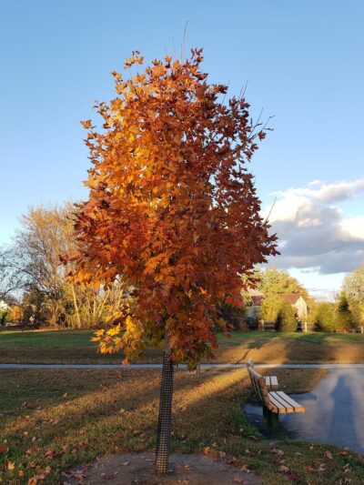 Unionville Community Park - Unionville, PA