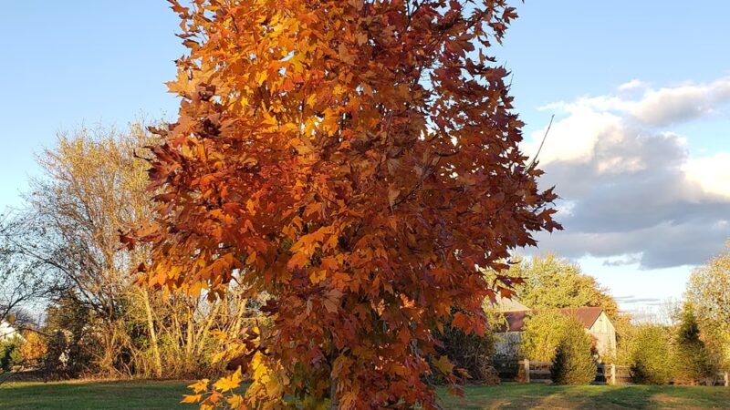 Unionville Community Park - Unionville, PA