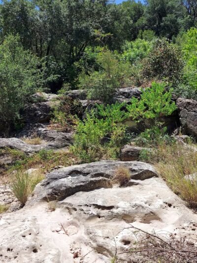 Universal City Park - Universal City, TX