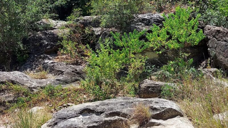 Universal City Park - Universal City, TX