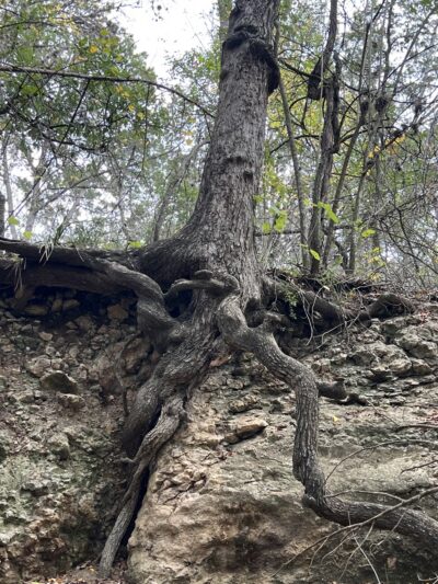 Universal City Park - Universal City, TX