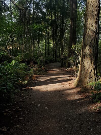 Cirque Bridgeport Park - University Place, WA
