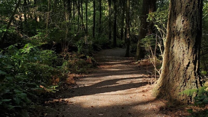 Cirque Bridgeport Park - University Place, WA