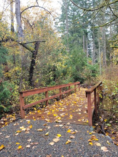 Riconosciuto Park - University Place, WA