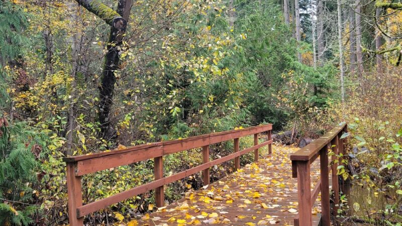 Riconosciuto Park - University Place, WA