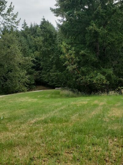 Riconosciuto Park - University Place, WA