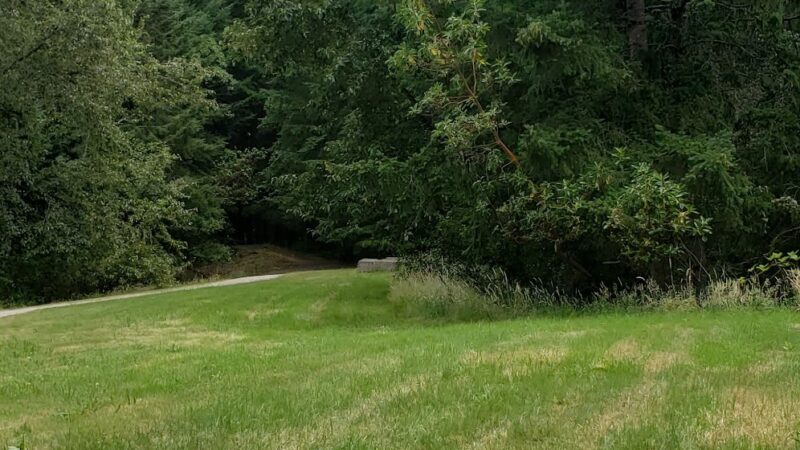 Riconosciuto Park - University Place, WA