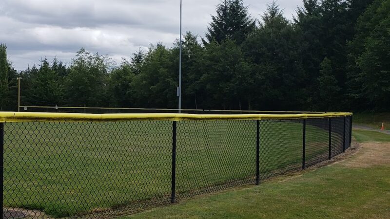 Riconosciuto Park - University Place, WA