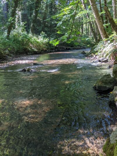 Upper Chambers Creek Canyon Trailhead - University Place, WA
