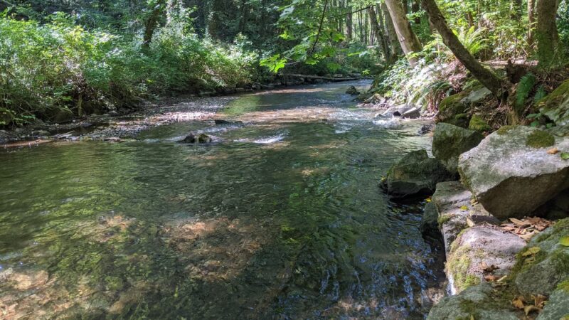 Upper Chambers Creek Canyon Trailhead - University Place, WA
