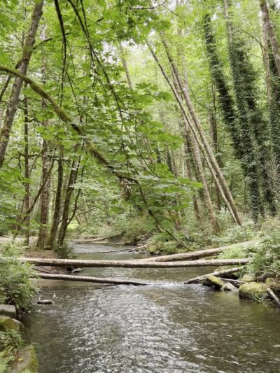 Upper Chambers Creek Canyon Trailhead - University Place, WA