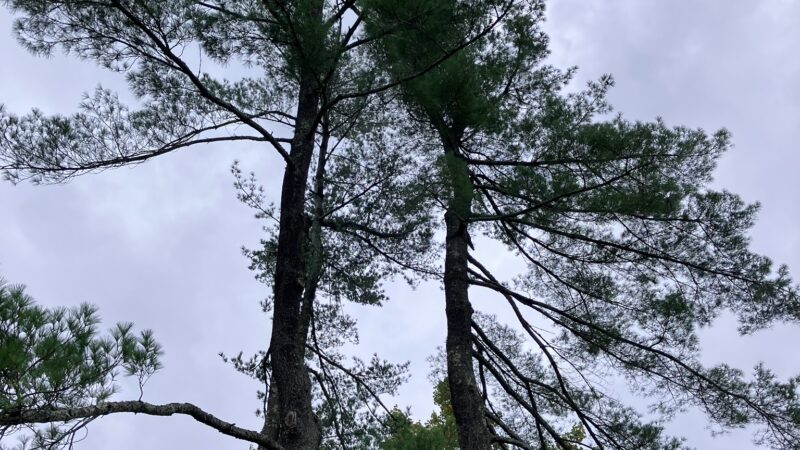 Foxhaven Trails Parking - University, VA