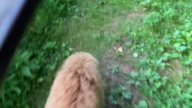Foxhaven Trails Parking - University, VA